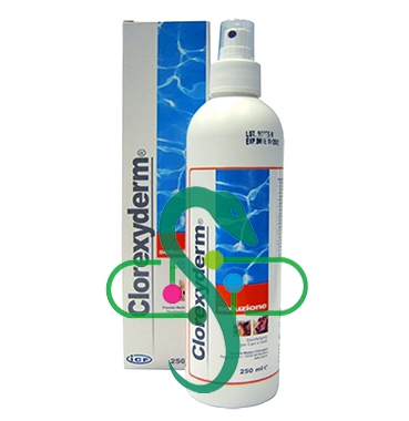 ICF Farmaceutici Linea Animali Domestici Clorexyderm Schiuma Cani e Gatti 200 ml